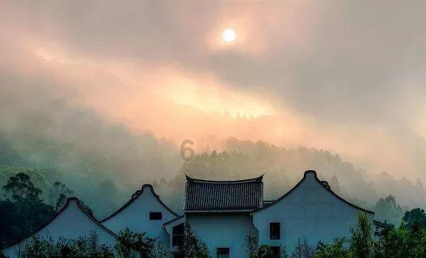 逃离亚洲丛林