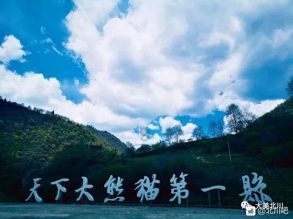 春雨直播app