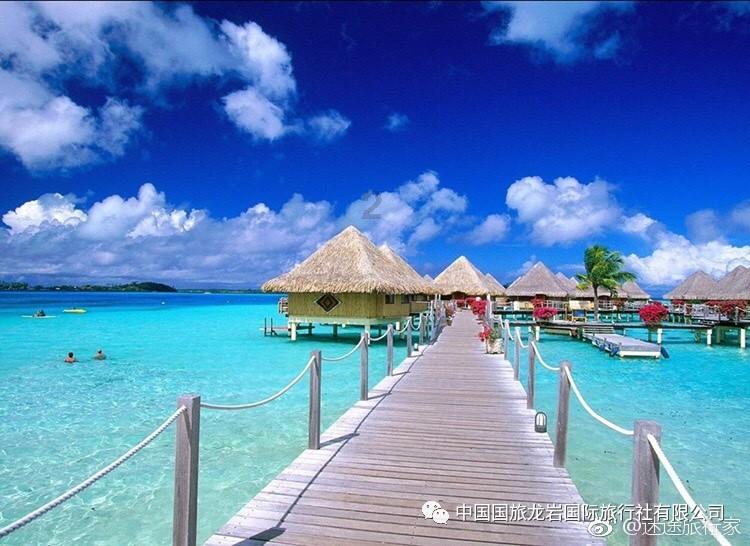 如何发花胶窍门游戏画面