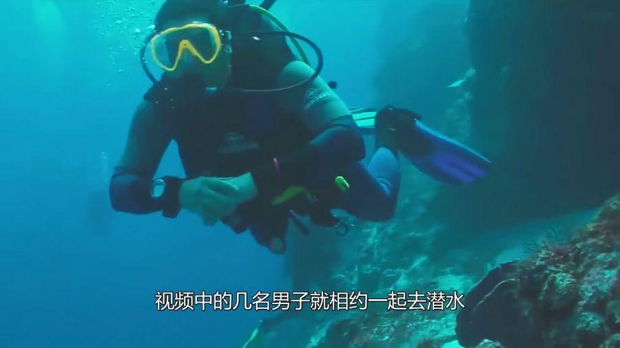 青海省公益诉讼检察工作白皮书