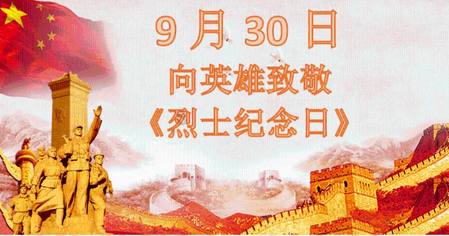 胖小猫救援