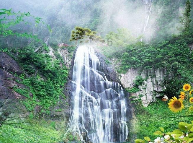 年景里的中国·旅途中看消费亮点